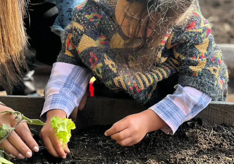 Ecosostenibilidad-home